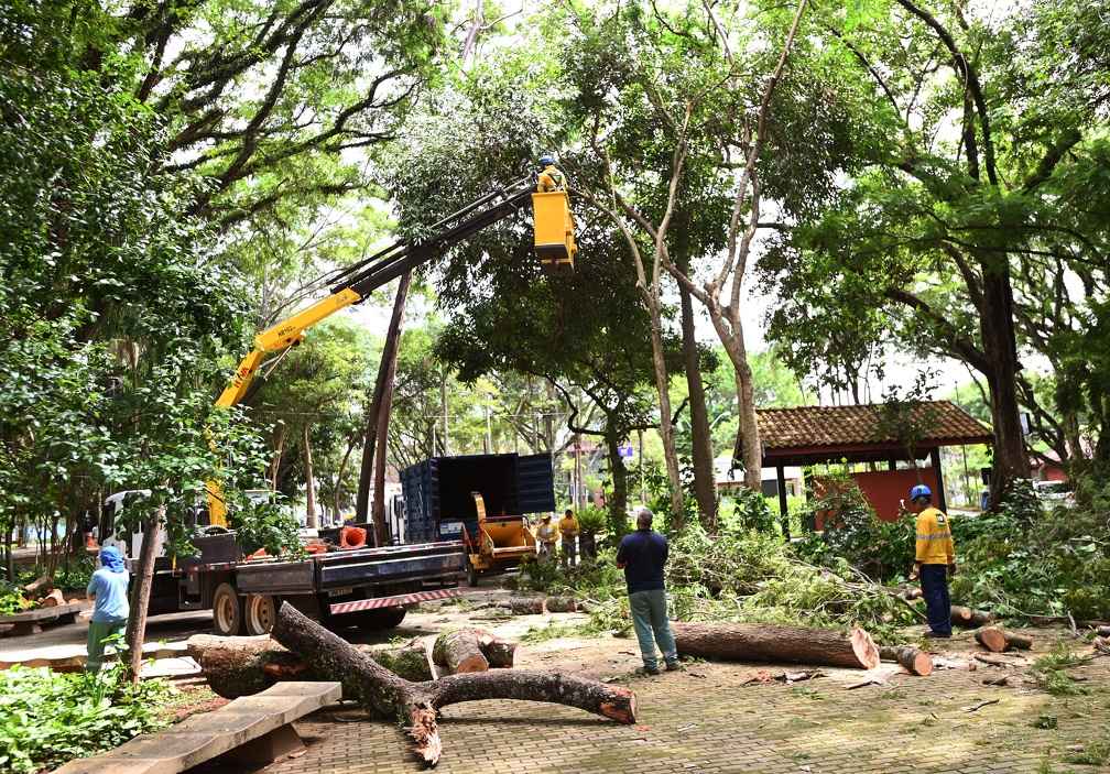 Ministério Público aponta negligência no caso de menina morta por árvore no Parque Taquaral